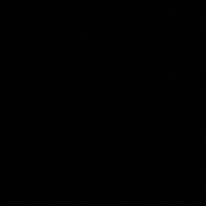 Meet your Posher, Jamela